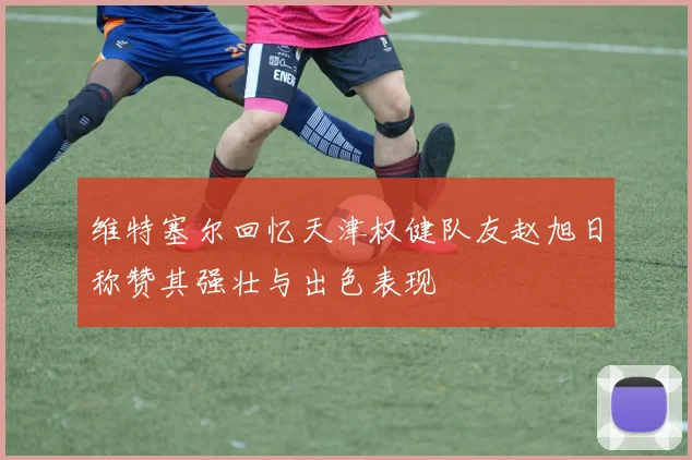 维特塞尔回忆天津权健队友赵旭日称赞其强壮与出色表现